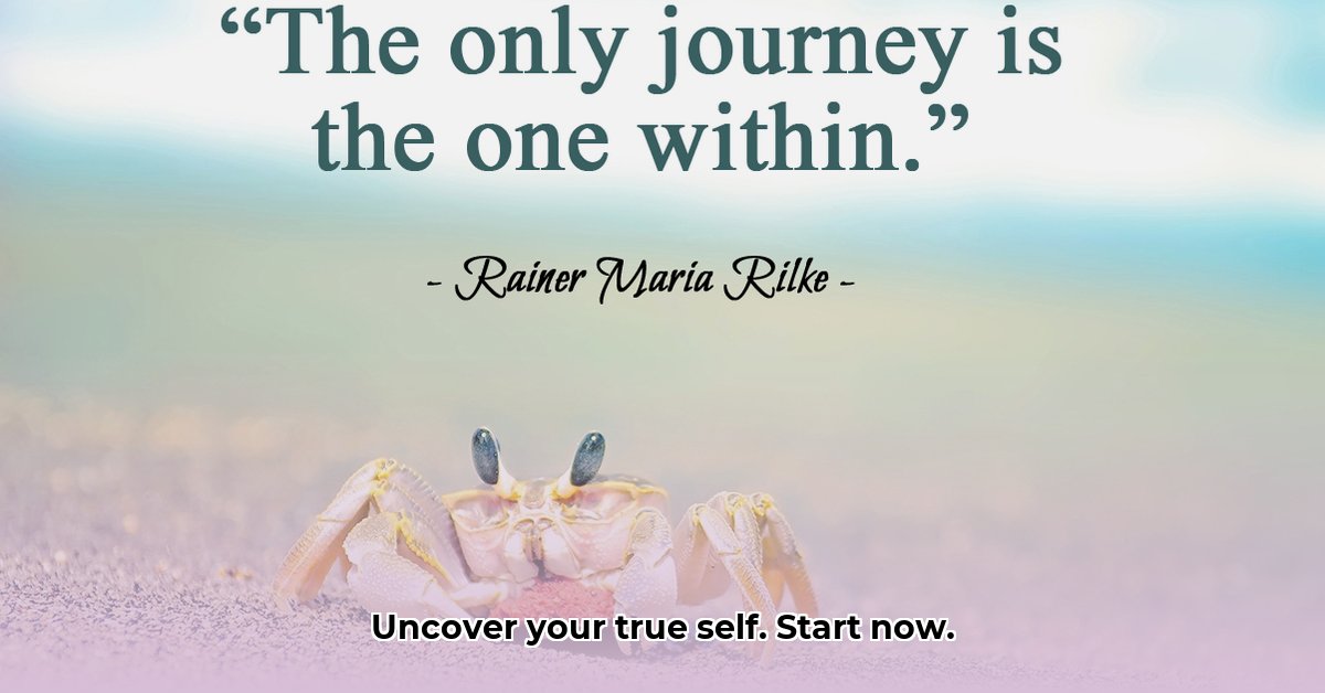 the-only-journey-is-the-one-within-meaning